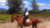 Balades et randonnées à cheval